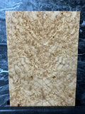 BAS100 - 6 x 2 x .37”