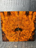 IWS100 - 5.5 x 3 x .79”