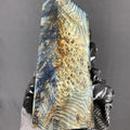 BABD101 - 5.2 x 2 x 1.11”