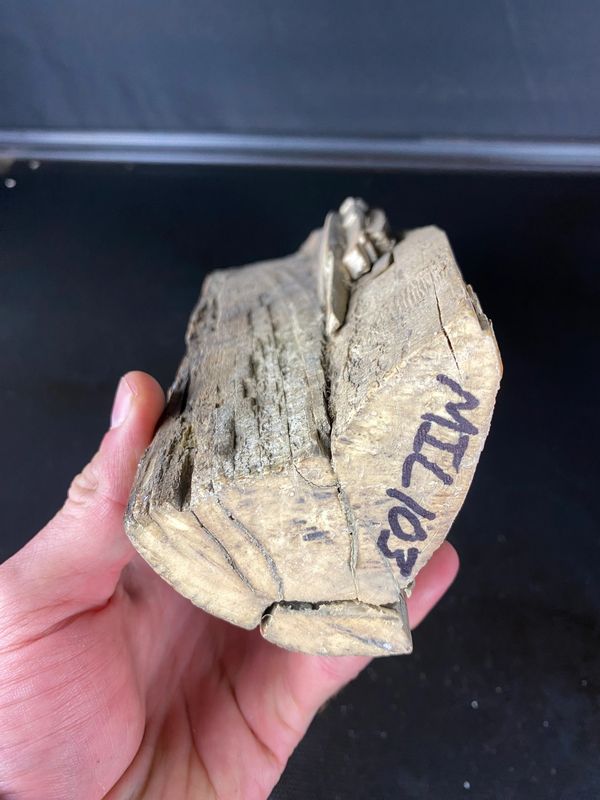 MIL103 - 13 x 3 x 2"
