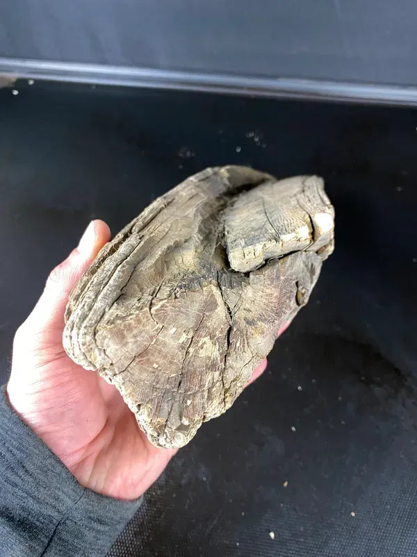 MIL103 - 13 x 3 x 2"