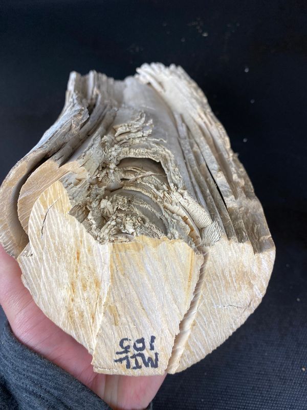 MIL105 - 10.5 x 5 x 3.1-2.3"