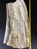 MIL105 - 10.5 x 5 x 3.1-2.3"