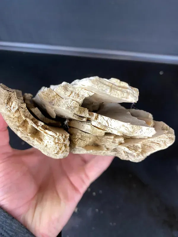 MIL115 - 8.5 x 4 x 2-.75”