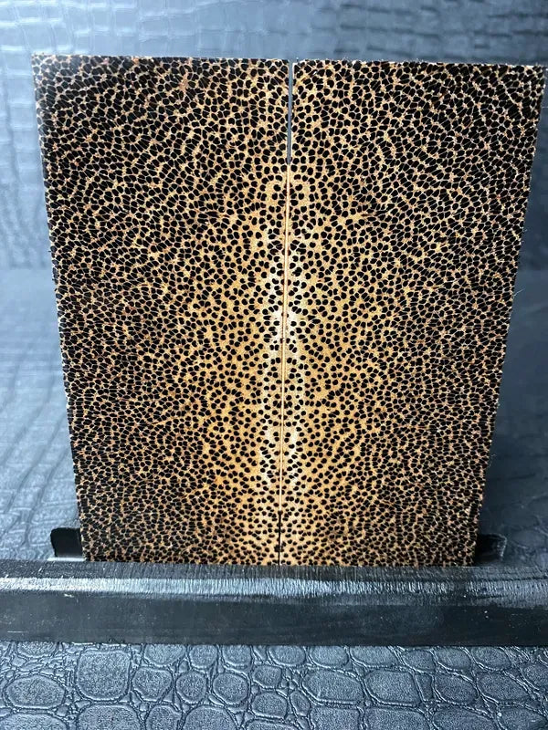 BPS124 - 4.83 x 1.9 x .4”