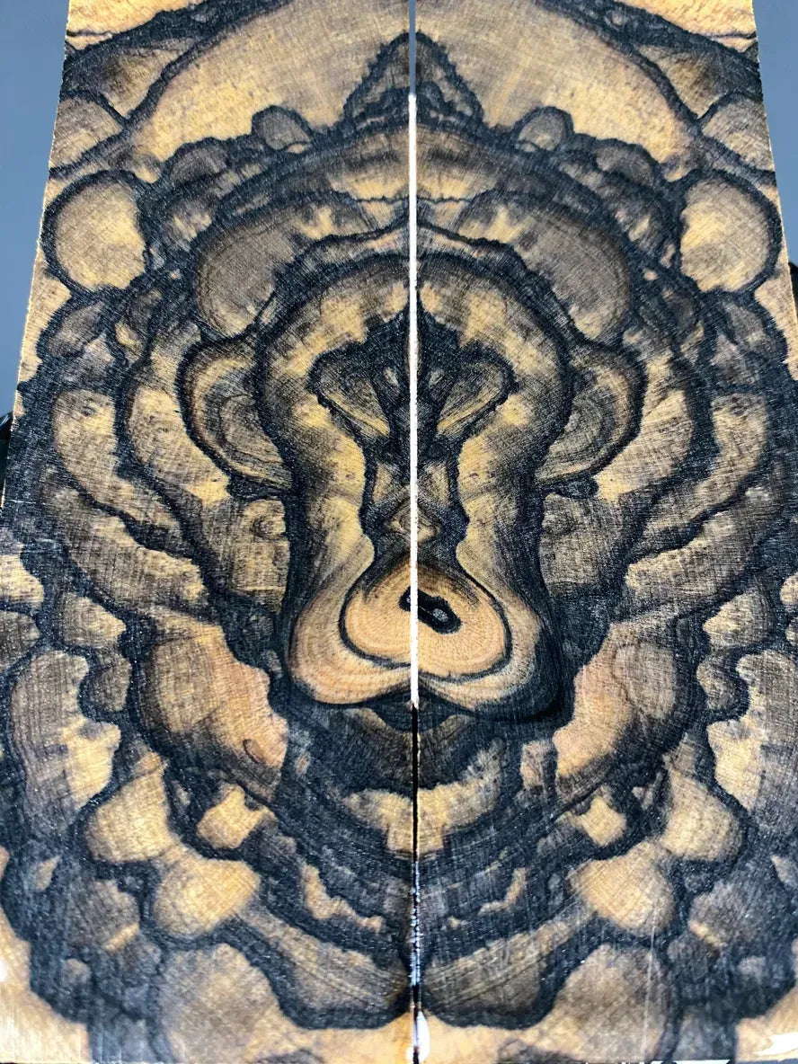 BWS162 - 4.82 x 1.62 x .43”