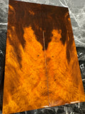 IWS138 - 6 x 2 x .39”