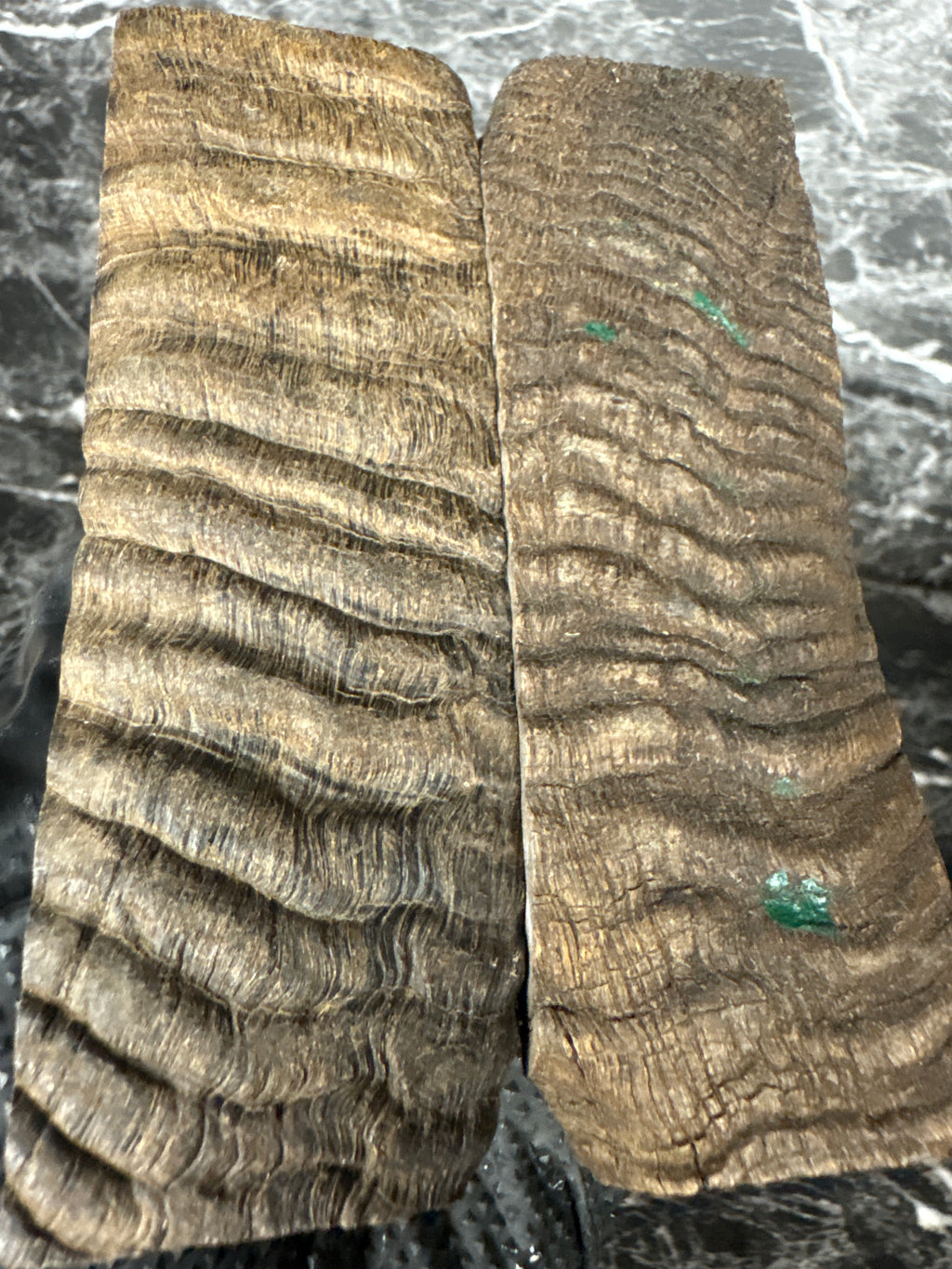Rams Horn Scales RHS128 - 5 x 1.75 x .33”