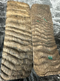 Rams Horn Scales RHS128 - 5 x 1.75 x .33”