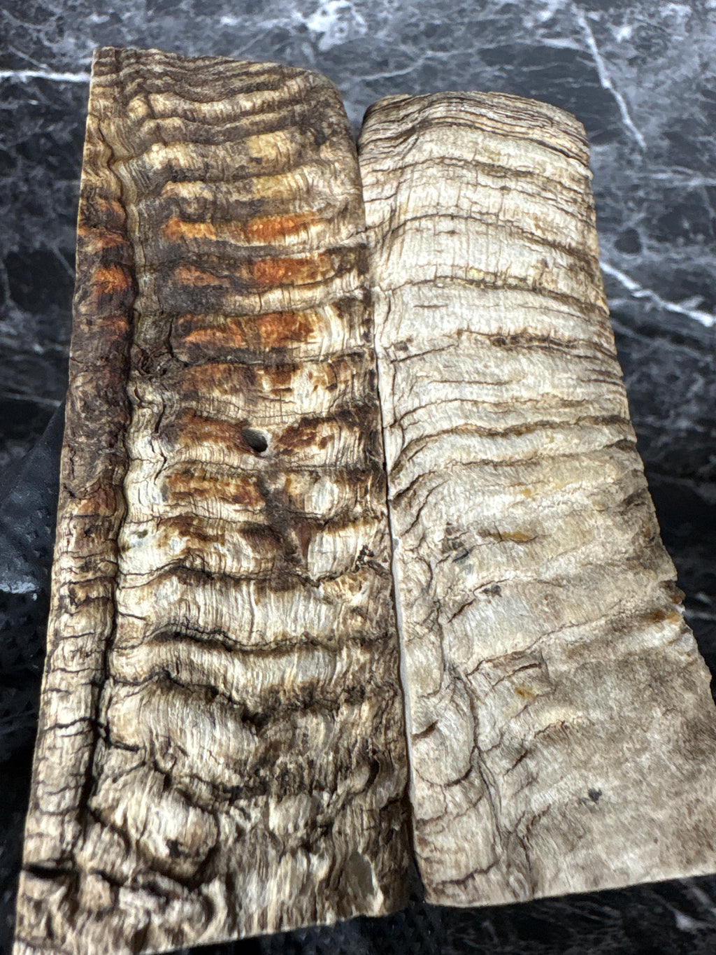 Rams Horn Scales RHS131  - 5 x 1.75 x .4”