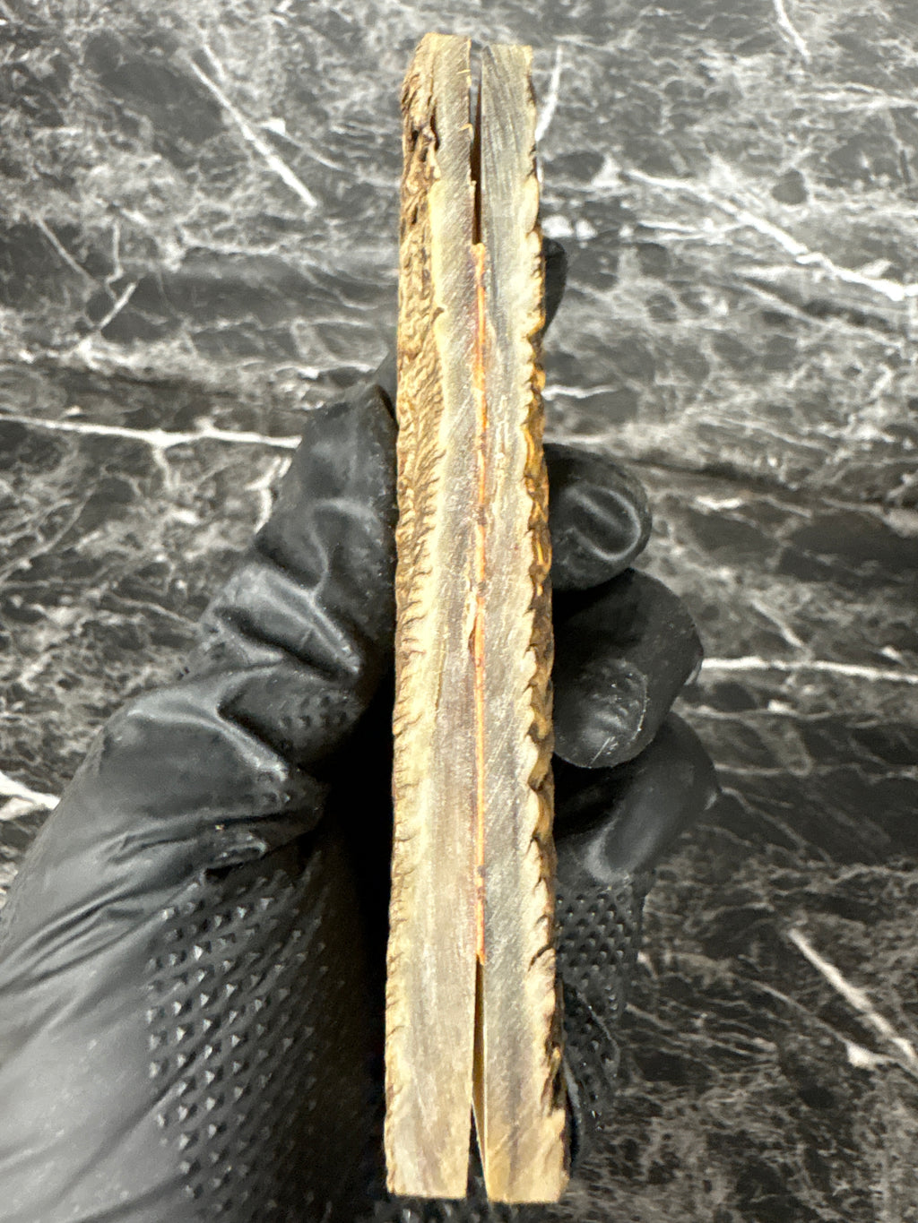 Rams Horn Scales RHS133  - 5 x 1.75 x .3”