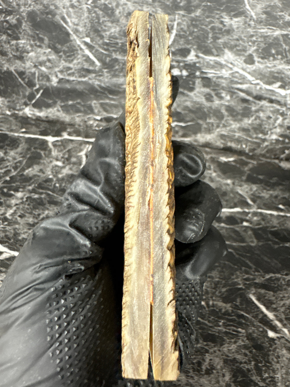 Rams Horn Scales RHS133  - 5 x 1.75 x .3”