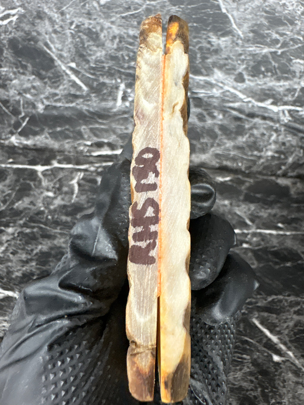 Rams Horn Scales RHS130 - 5 x 1.75 x .33”
