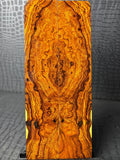 IWS450 - 10 x 2 x .33”