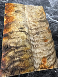 Rams Horn Scales RHS134  - 5 x 1.7 x .3”