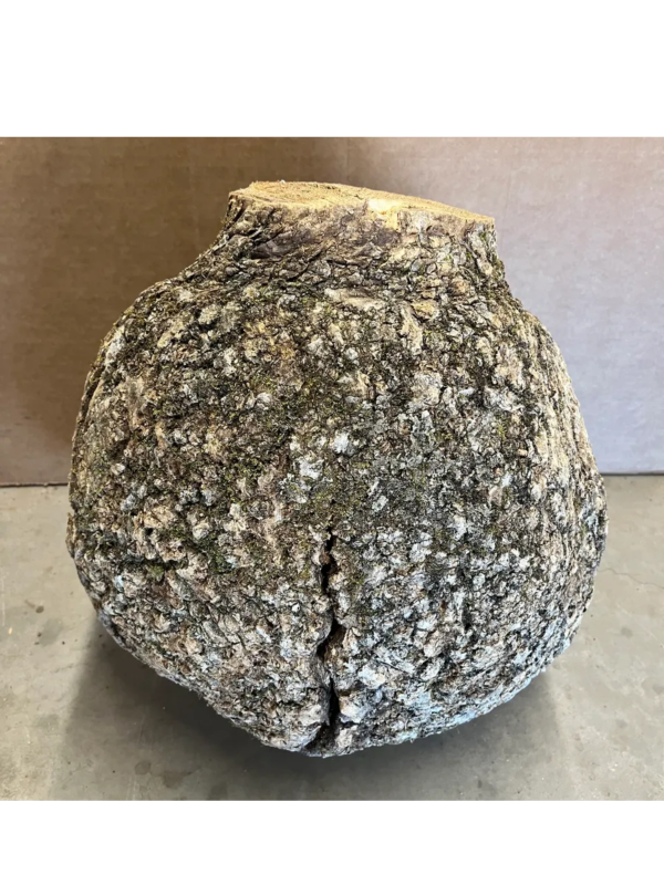 BAB600 - AAA Grade Bowl -Urn- Vase Turning Burl
