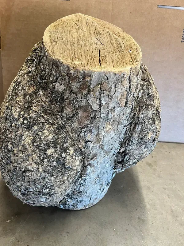 BAB600 - AAA Grade Bowl -Urn- Vase Turning Burl