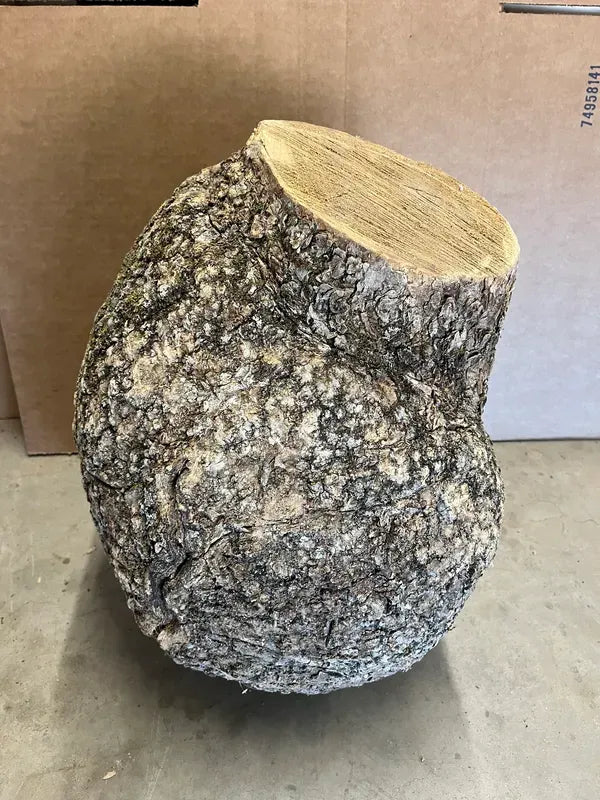 BAB600 - AAA Grade Bowl -Urn- Vase Turning Burl