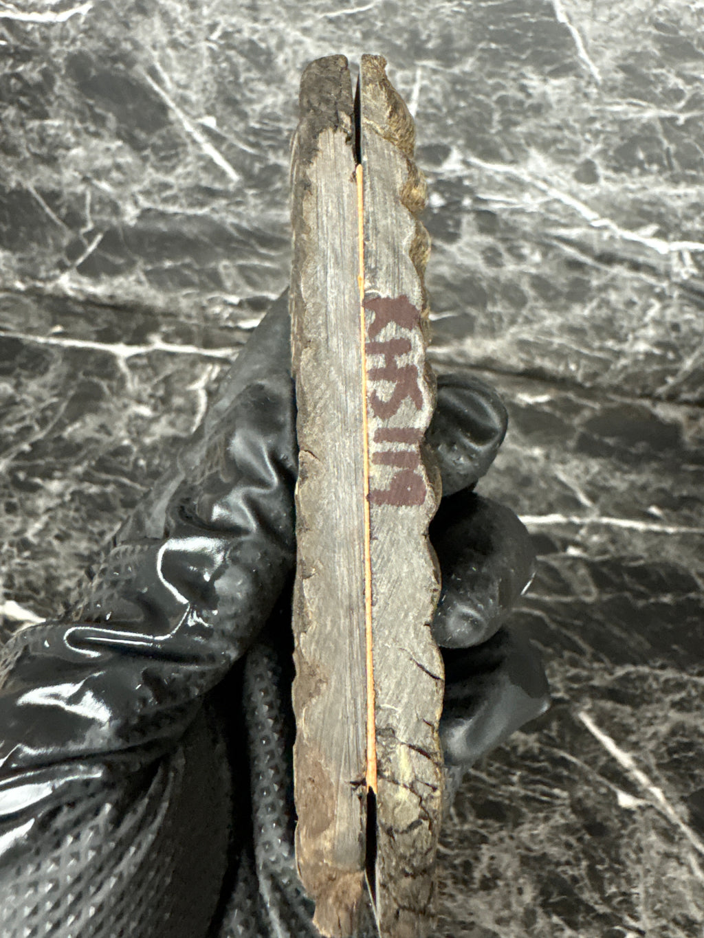 Rams Horn Scales RHS119 - 5 x 1.75 x .37”