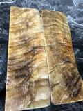 Rams Horn Scales RHS101 - 5.1 x 1.75 x .3”