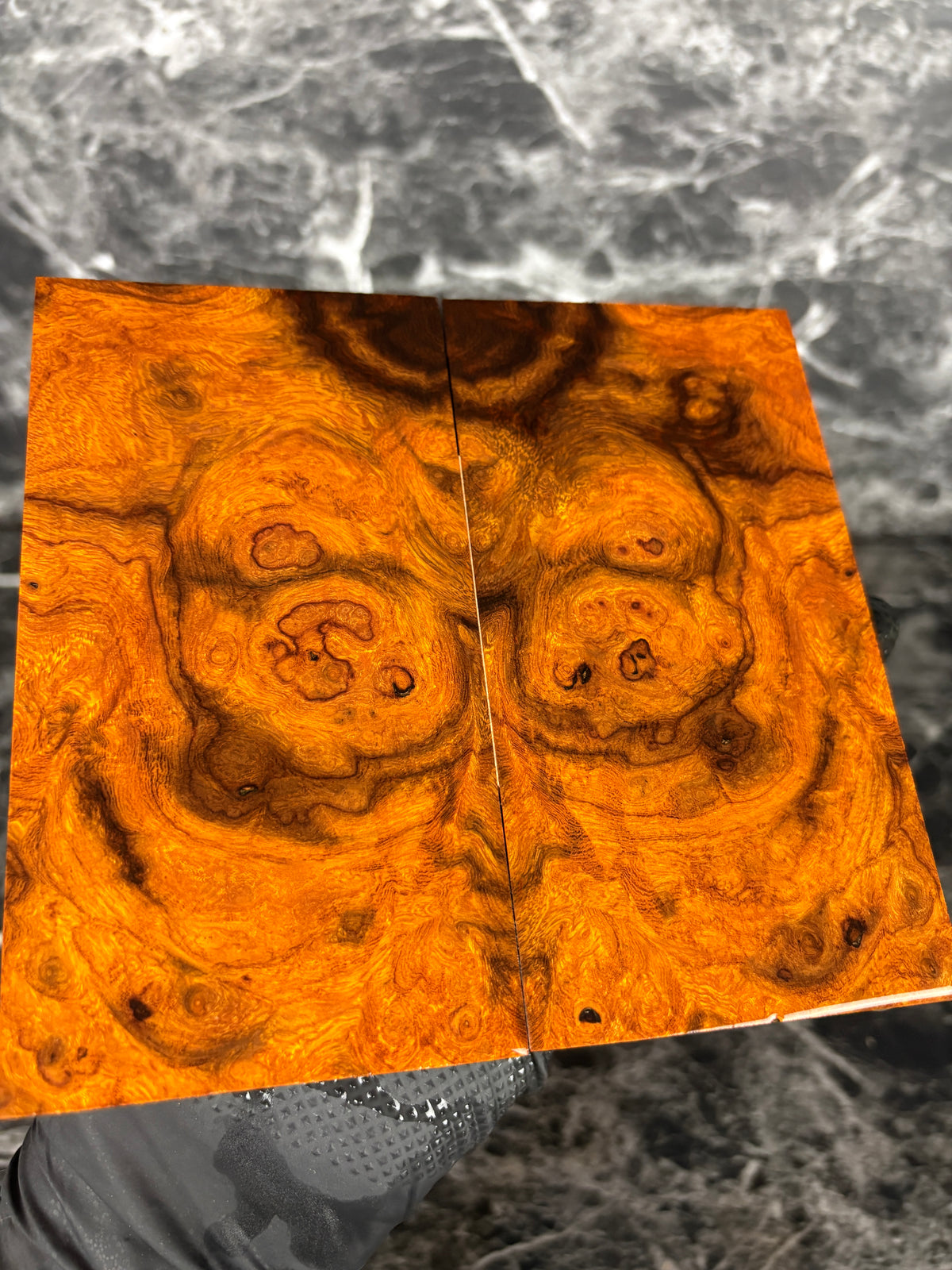 Ironwood Burl Scales IWS304 - 5.7 x 3 x .8” Pistol Grip