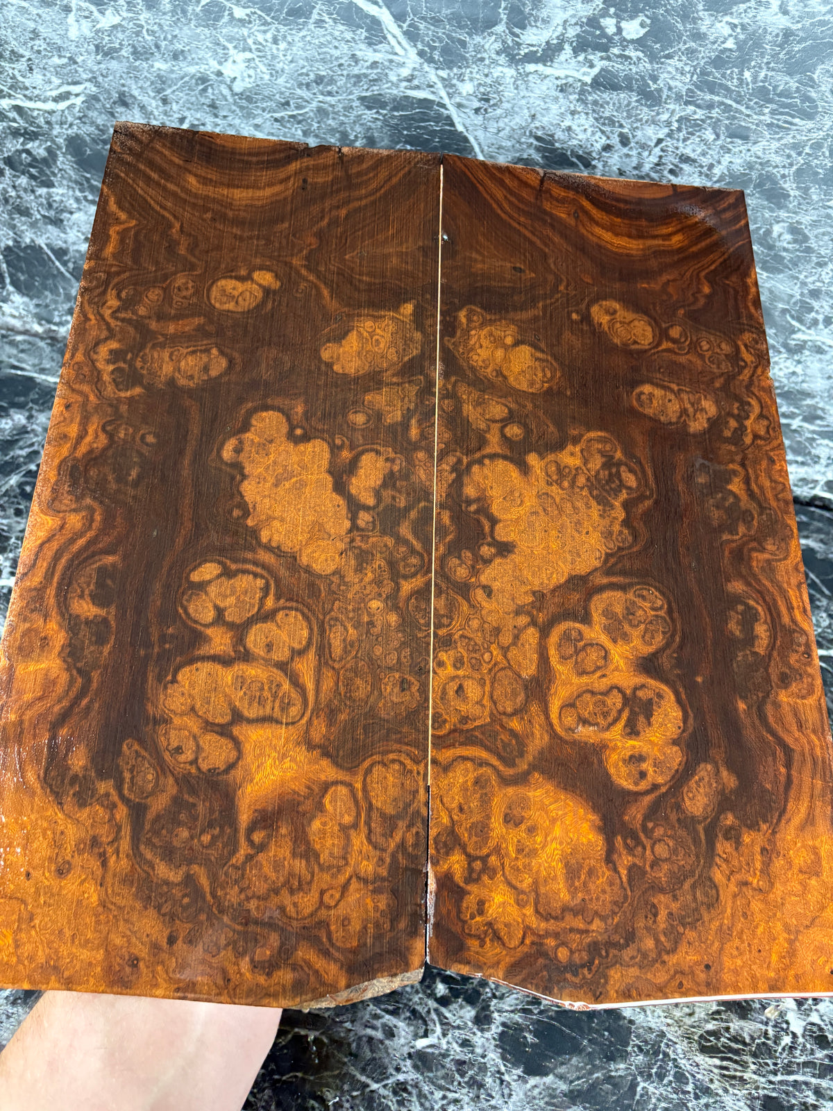 GUITAR TOP110 - 17.25 x 7.6 x .37”