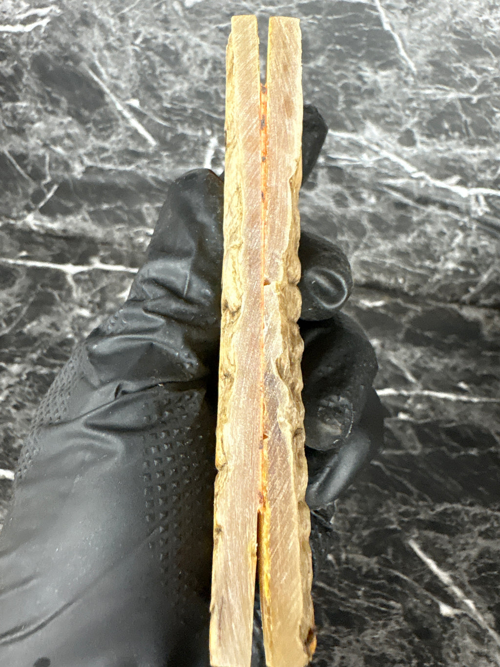 Rams Horn Scales RHS134  - 5 x 1.7 x .3”