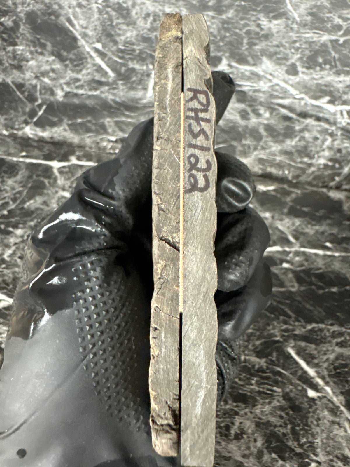 Rams Horn Scales RHS122 - 5 x 1.75 x .31”