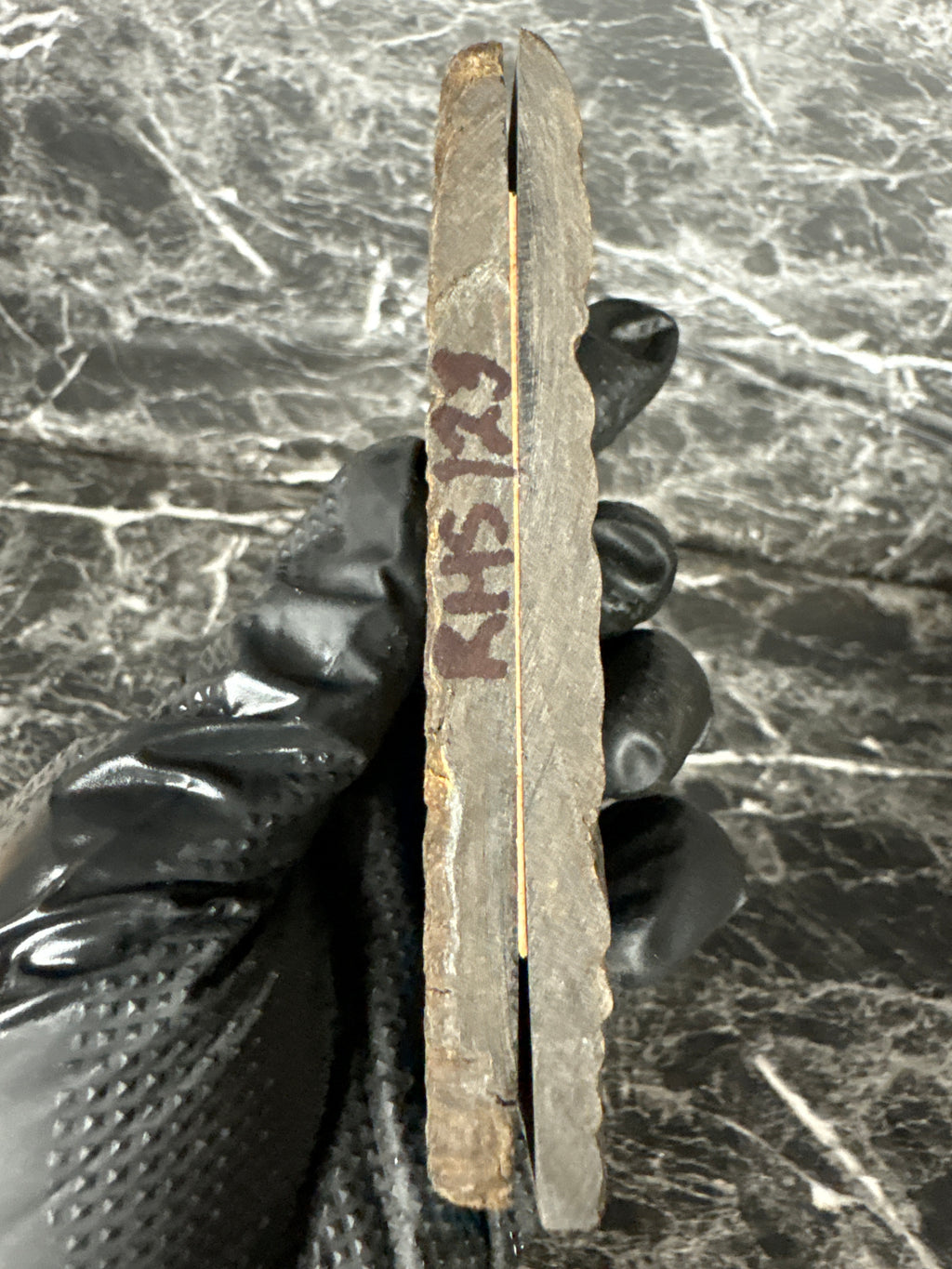 Rams Horn Scales RHS123 - 5 x 1.75 x .31”