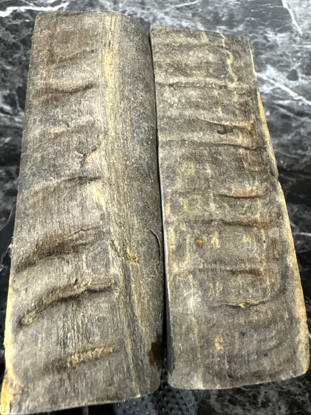 Rams Horn Scales RHS112 - 5.1 x 1.75 x .3”