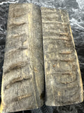 Rams Horn Scales RHS112 - 5.1 x 1.75 x .3”