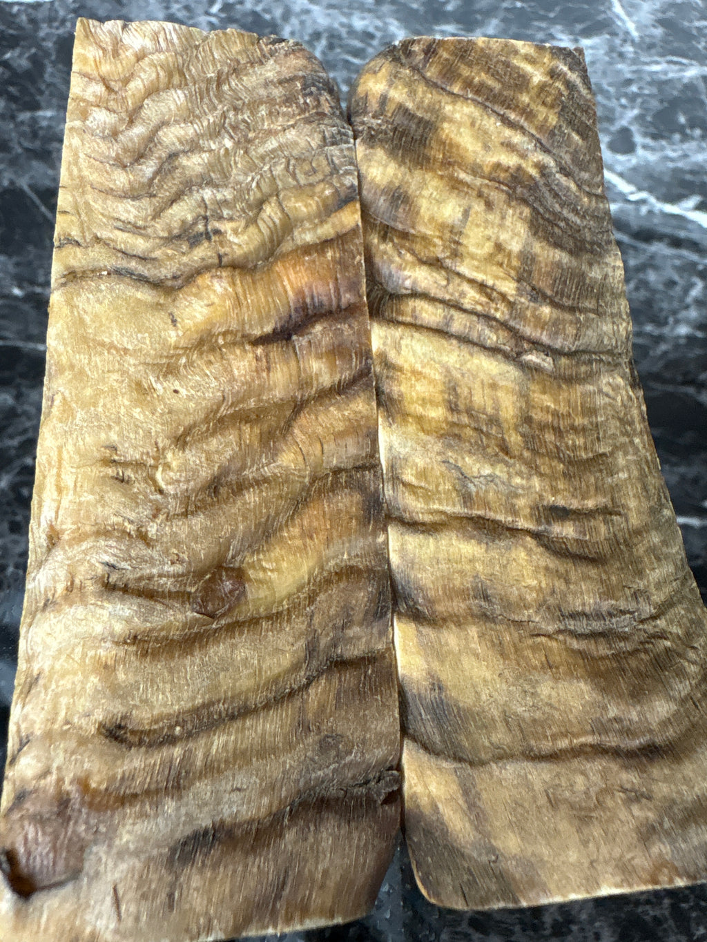 Rams Horn Scales RHS130 - 5 x 1.75 x .33”