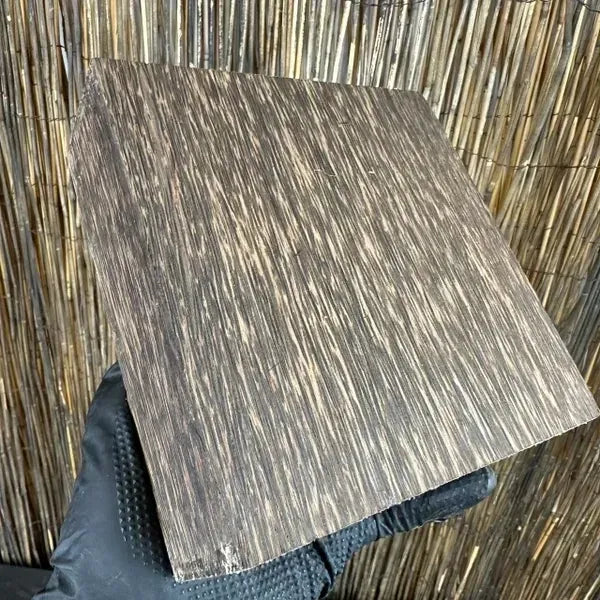 Black Palm Sale