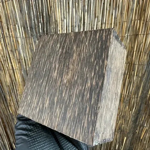 Black Palm Sale