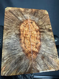 CHS111 - 5.15 x 2 x .37”