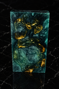 RSN110