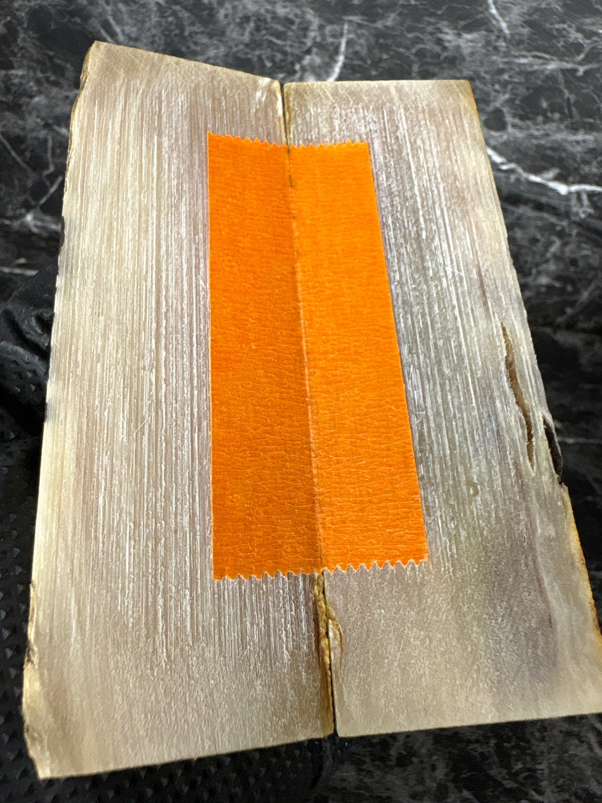 Rams Horn Scales RHS134  - 5 x 1.7 x .3”