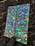 Abalone Shell Scales - 5.5 x 2 x .22”