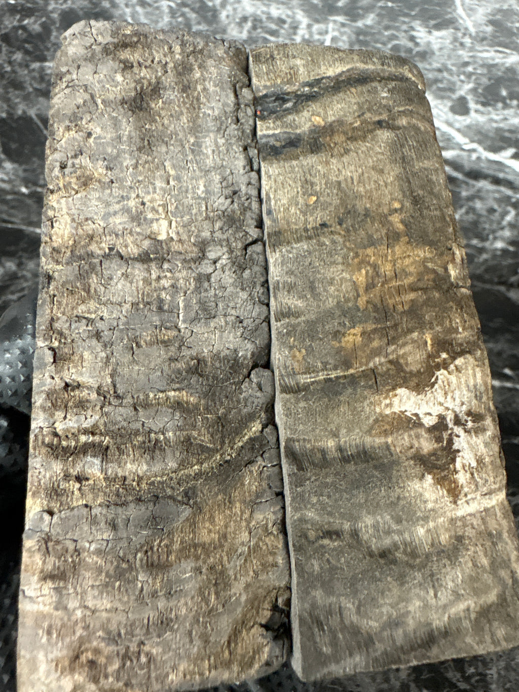 Rams Horn Scales RHS122 - 5 x 1.75 x .31”