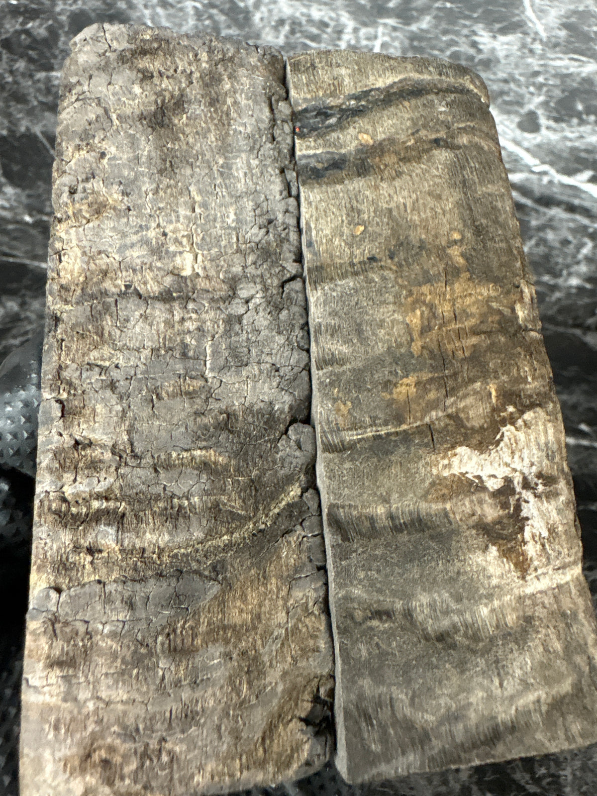 Rams Horn Scales RHS122 - 5 x 1.75 x .31”