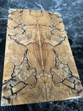 Spalted Maple Scales SPMAS116 - 5.7 x 1.85 x .42”