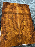 Ironwood Burl Scales IWS257 - 5.5 x 2 x .44”