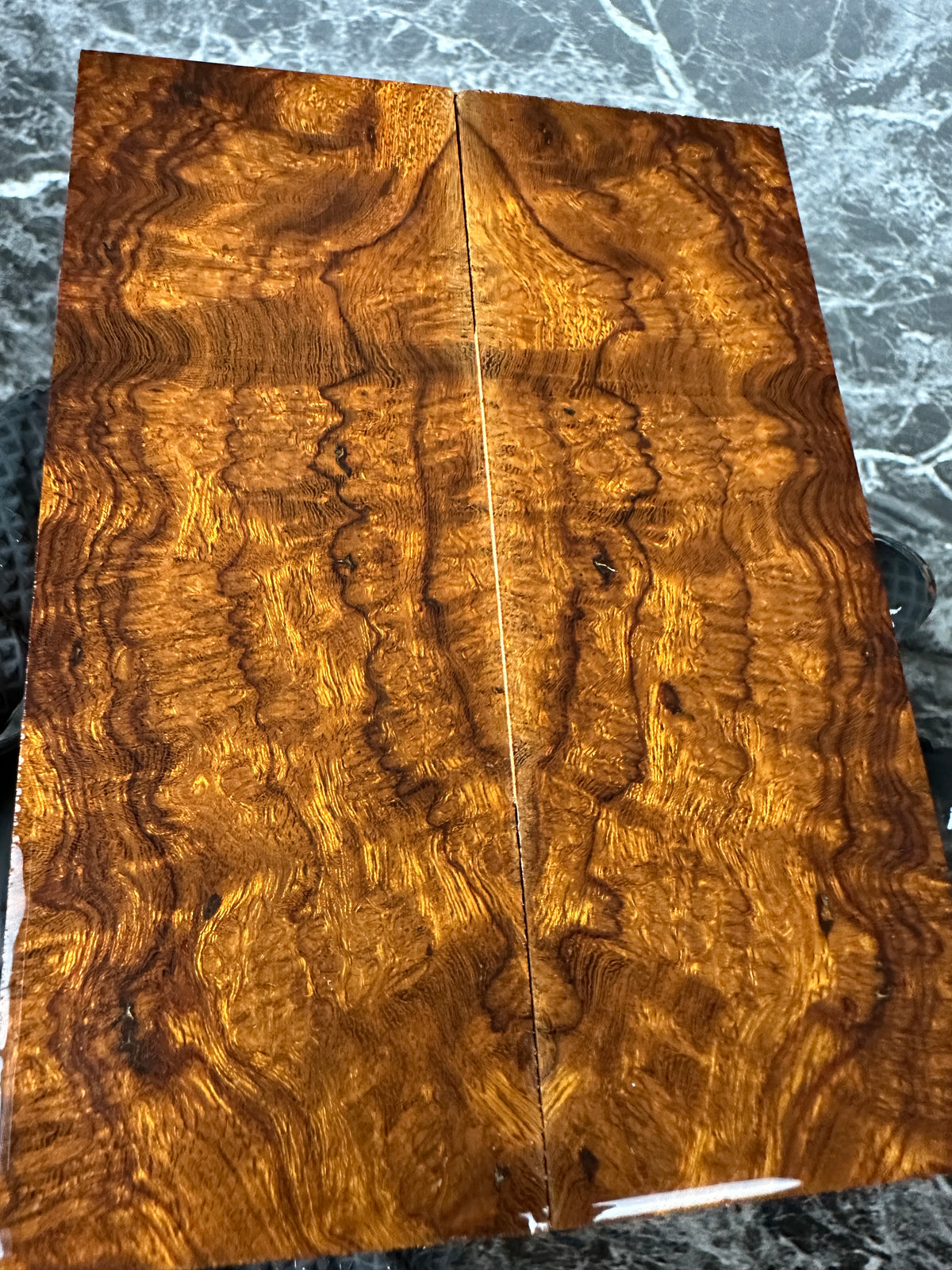 Ironwood Burl Scales IWS257 - 5.5 x 2 x .44”