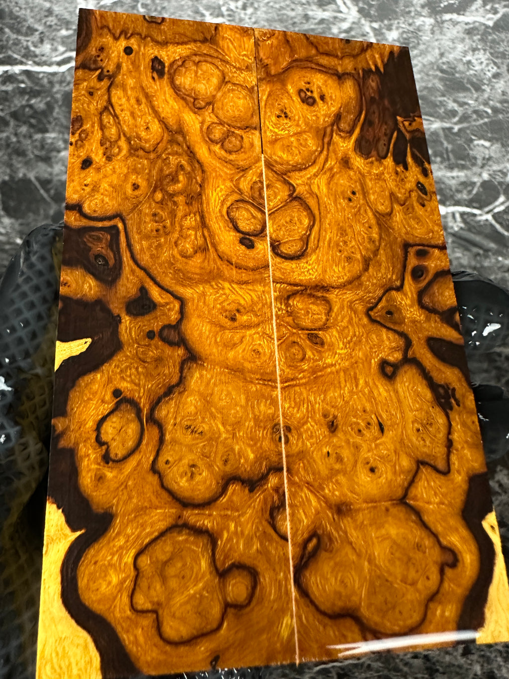 Ironwood Burl Scales IWS274 - 5.1 x 1.55 x .35”