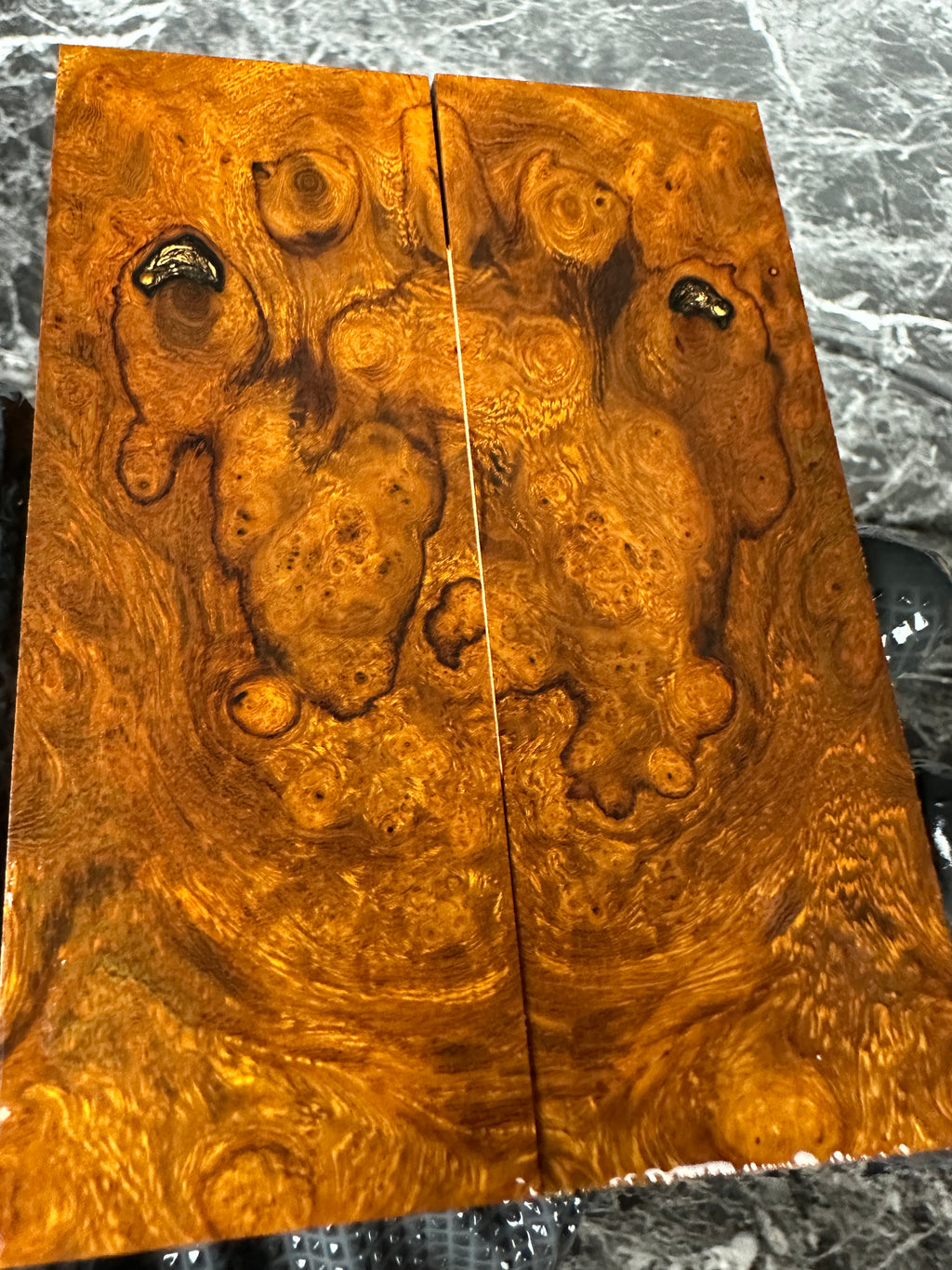 Ironwood Burl Scales IWS269 - 5 x 1.8 x .37”