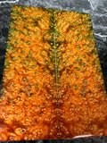Dyed Amboyna Burl Scales AMSD107 - 5.4 x 2 x .4”