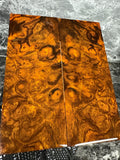 Ironwood Burl Scales IWS178 - 5.1 x 2 x .4”