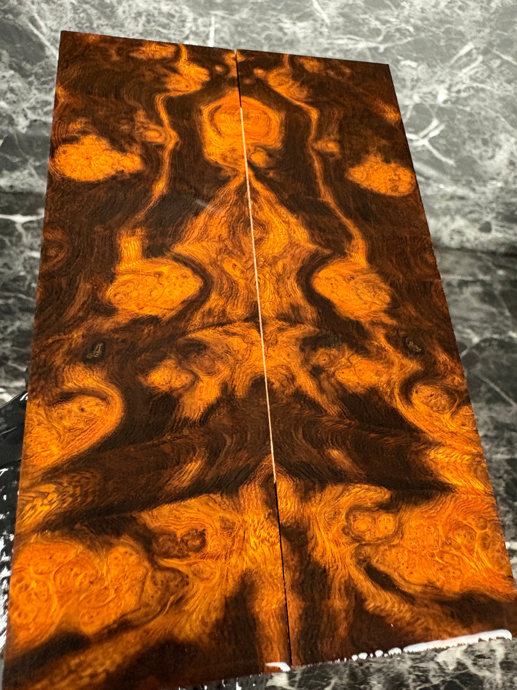 Ironwood Burl Scales IWS197 - 6 x 1.9 x .43”