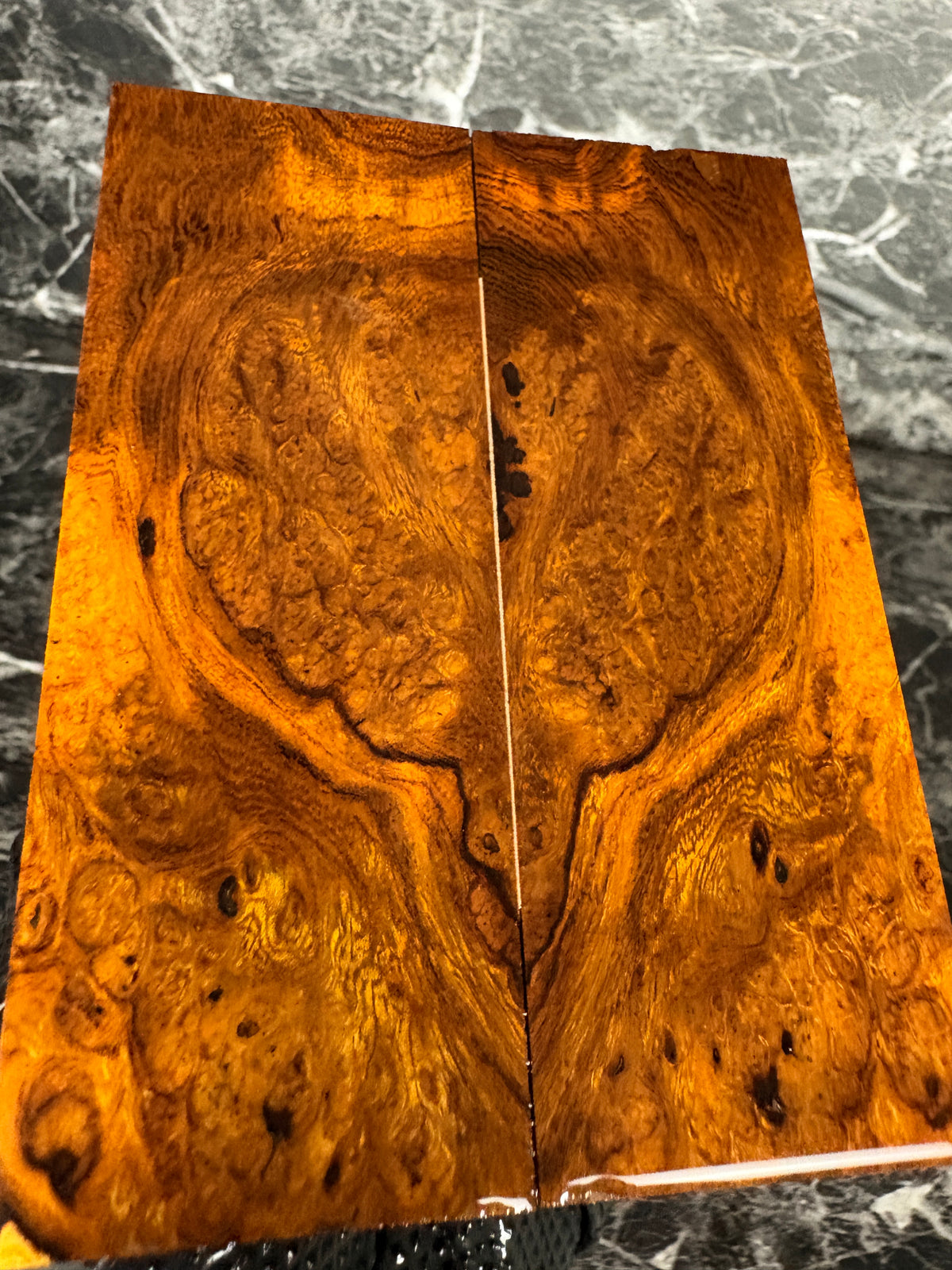 Ironwood Burl Scales IWS224 - 5 x 1.87 x .37”