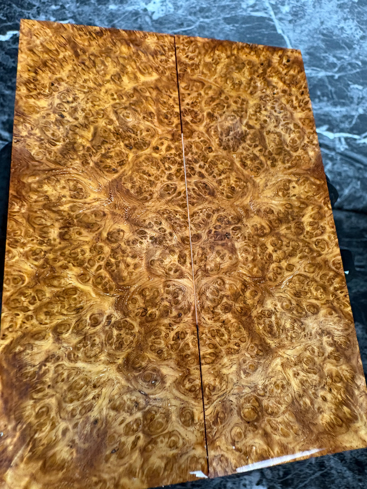 Amboyna Burl Scales AMS101 - 5.4 x 2 x .39”